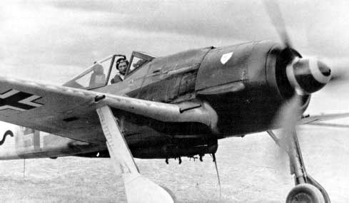 maximowitz2.jpg